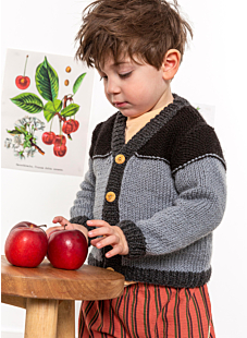 Tricolor Cardigan