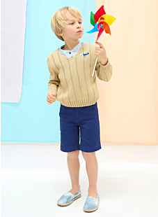 V Neck cotton sweater