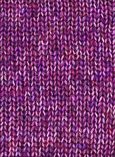 ENVOL VIOLET