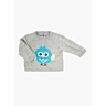 M2981 Intarsia owl sweater in pdf format