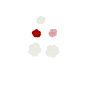 Pack of 5 flower buttons