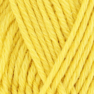 MÉRINOS 4 POUSSIN
